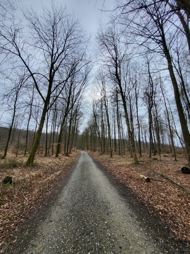 Familienwandertag am 01. Mai