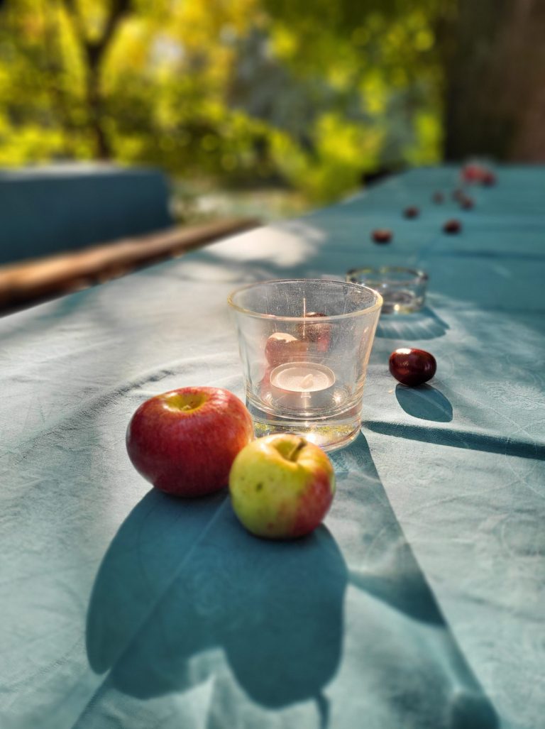 Obstwiesenfest bei bestem Wetter