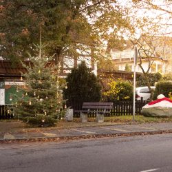 Geschmückter Weihnachtsbaum auf dem Selbecker Dorfplatz, daneben der Gedenkstein mit einer gestrickten Weihnachtsmütze.