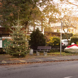Geschmückter Weihnachtsbaum auf dem Selbecker Dorfplatz, daneben der Gedenkstein mit einer gestrickten Weihnachtsmütze.